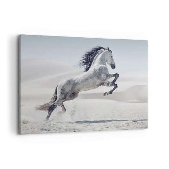 Obraz na płótnie - Arabski książę - 100x70cm - Zwierzęta Koń Koń W Galopie - Nowoczesny foto obraz w ramie do salonu do sypialni ARTTOR ARTTOR