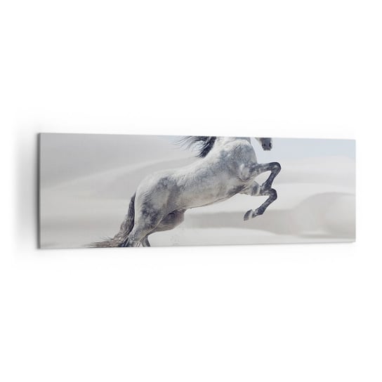 Obraz na płótnie - Arabski książę - 160x50cm - Zwierzęta Koń Koń W Galopie - Nowoczesny foto obraz w ramie do salonu do sypialni ARTTOR ARTTOR