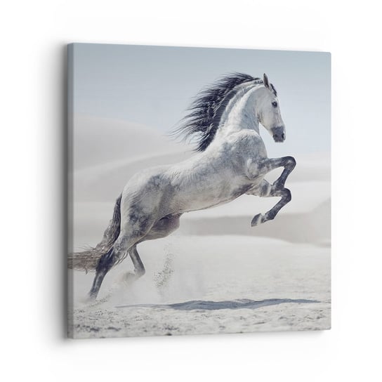 Obraz na płótnie - Arabski książę - 30x30 cm - Obraz nowoczesny - Zwierzęta, Koń, Koń W Galopie, Natura, Piasek - AC30x30-3644 ARTTOR