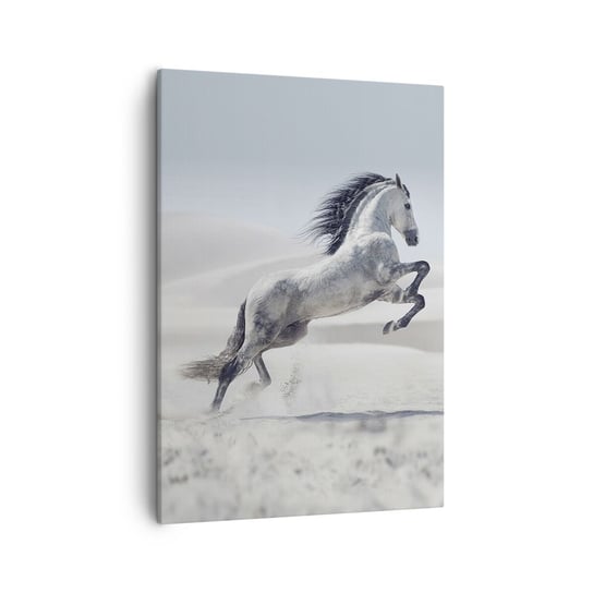 Obraz na płótnie - Arabski książę - 50x70cm - Zwierzęta Koń Koń W Galopie - Nowoczesny Canvas obraz do salonu do sypialni ARTTOR ARTTOR