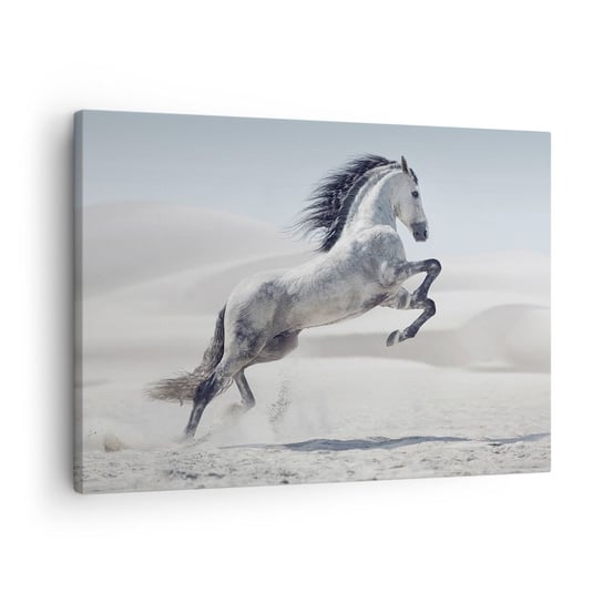 Obraz na płótnie - Arabski książę - 70x50cm - Zwierzęta Koń Koń W Galopie - Nowoczesny Canvas obraz do salonu do sypialni ARTTOR ARTTOR