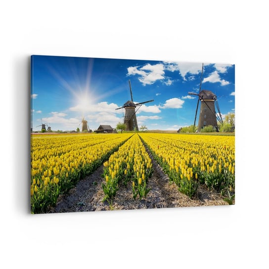 Obraz na płótnie - Bardziej holenderski być nie może - 100x70cm - Krajobraz Wiatrak Tulipany - Nowoczesny foto obraz w ramie do salonu do sypialni ARTTOR ARTTOR