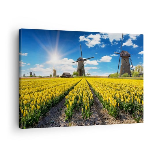 Obraz na płótnie - Bardziej holenderski być nie może - 70x50cm - Krajobraz Wiatrak Tulipany - Nowoczesny Canvas obraz do salonu do sypialni ARTTOR ARTTOR