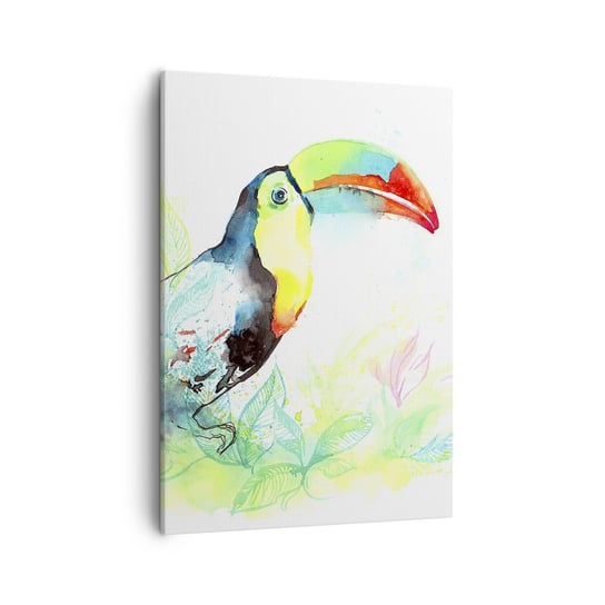 Obraz na płótnie - Barwny jak Ameryka Południowa - 50x70cm - Ptak Tukan Dla Dzieci - Nowoczesny Canvas obraz do salonu do sypialni ARTTOR ARTTOR