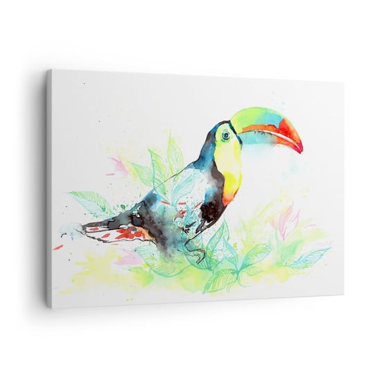 Obraz na płótnie - Barwny jak Ameryka Południowa - 70x50cm - Ptak Tukan Dla Dzieci - Nowoczesny Canvas obraz do salonu do sypialni ARTTOR ARTTOR