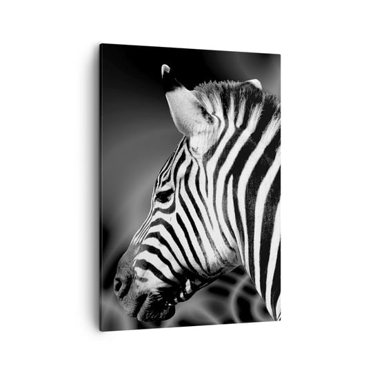 Obraz na płótnie - Białe jest białe, a czarne jest czarne - 50x70cm - Zebra Czarno-Biały Zwierzęta - Nowoczesny Canvas obraz do salonu do sypialni ARTTOR ARTTOR