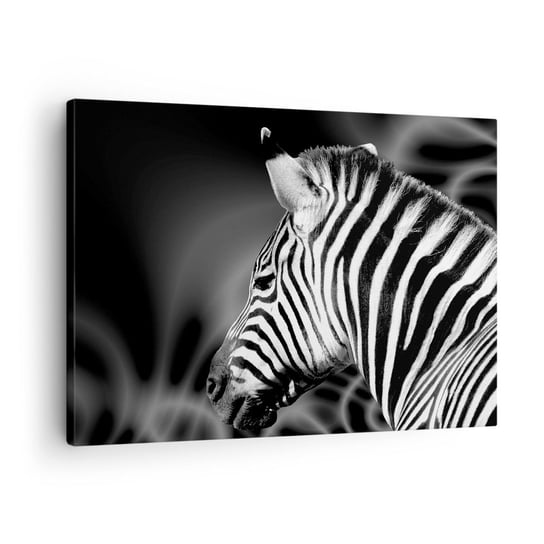 Obraz na płótnie - Białe jest białe, a czarne jest czarne - 70x50cm - Zebra Czarno-Biały Zwierzęta - Nowoczesny Canvas obraz do salonu do sypialni ARTTOR ARTTOR