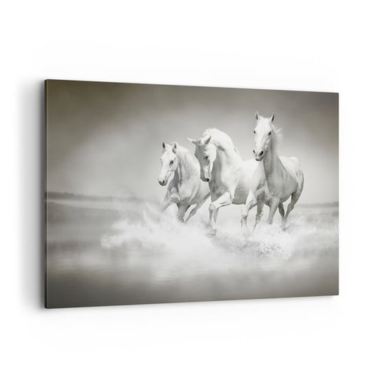 Obraz na płótnie - Białe szaleństwo - 100x70cm - Zwierzęta Konie Natura - Nowoczesny foto obraz w ramie do salonu do sypialni ARTTOR ARTTOR