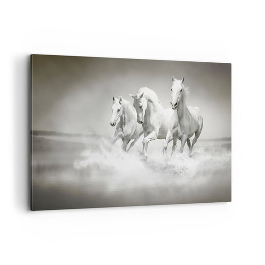 Obraz na płótnie - Białe szaleństwo - 120x80cm - Zwierzęta Konie Natura - Nowoczesny obraz na ścianę do salonu do sypialni ARTTOR ARTTOR