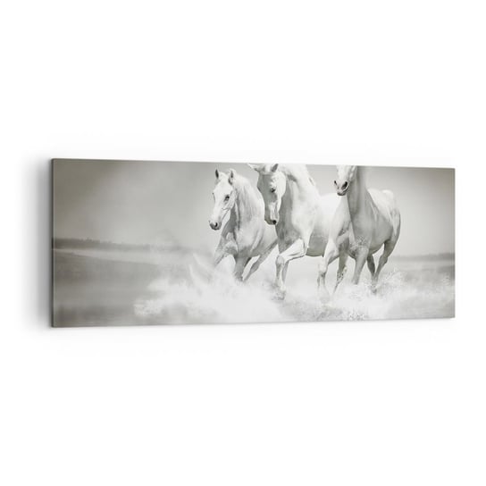 Obraz na płótnie - Białe szaleństwo - 140x50cm - Zwierzęta Konie Natura - Nowoczesny Canvas obraz do salonu do sypialni ARTTOR ARTTOR