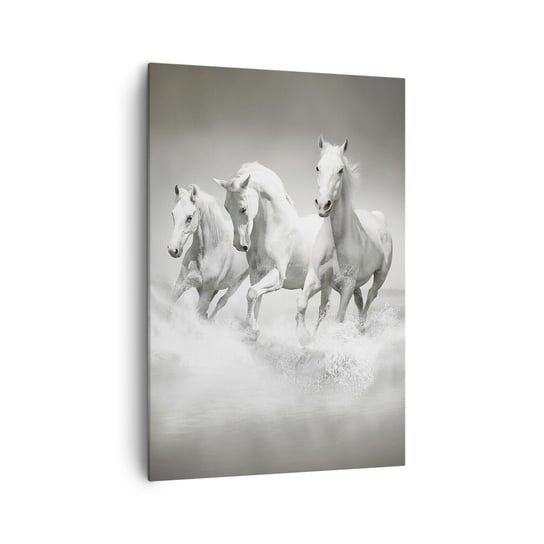 Obraz na płótnie - Białe szaleństwo - 70x100cm - Zwierzęta Konie Natura - Nowoczesny foto obraz w ramie do salonu do sypialni ARTTOR ARTTOR