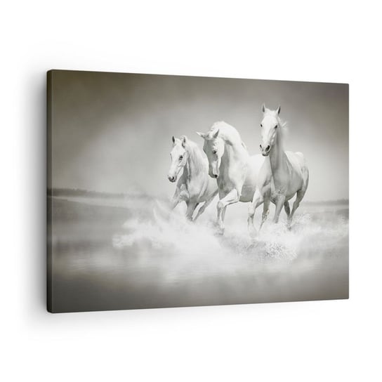Obraz na płótnie - Białe szaleństwo - 70x50cm - Zwierzęta Konie Natura - Nowoczesny Canvas obraz do salonu do sypialni ARTTOR ARTTOR