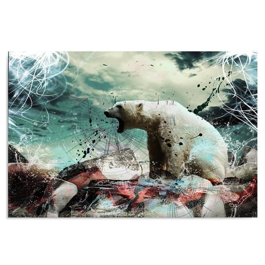 Obraz na płótnie, Biały niedźwiedź, 70x50 cm Feeby