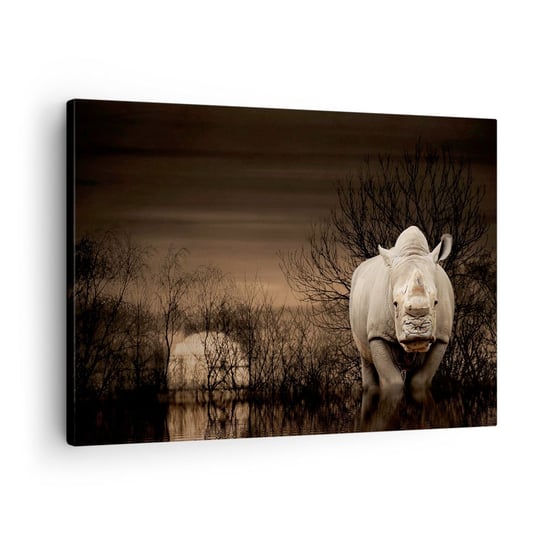 Obraz na płótnie - Biały przeciw naturze - 70x50cm - Nosorożec  Zwierzęta Afryka - Nowoczesny Canvas obraz do salonu do sypialni ARTTOR ARTTOR