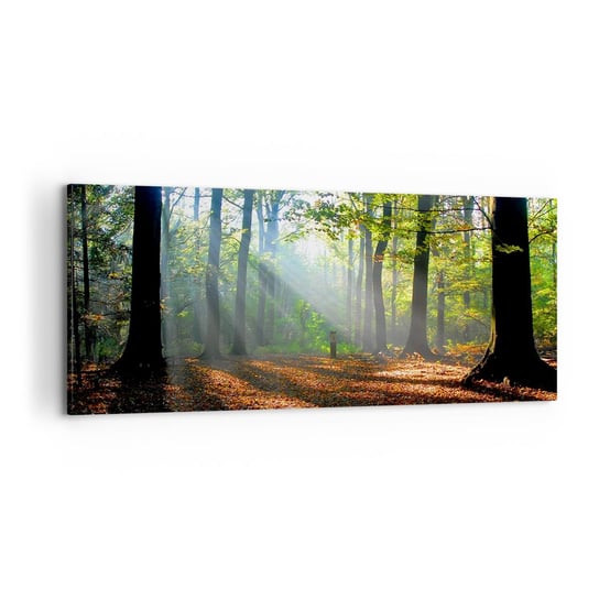 Obraz na płótnie - Blaski i cienie - 100x40cm - Las Drzewa Natura - Nowoczesny foto obraz w ramie do salonu do sypialni ARTTOR ARTTOR