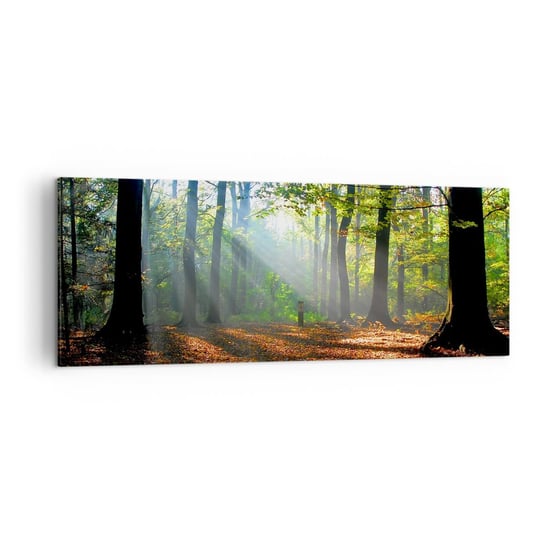 Obraz na płótnie - Blaski i cienie - 140x50cm - Las Drzewa Natura - Nowoczesny Canvas obraz do salonu do sypialni ARTTOR ARTTOR