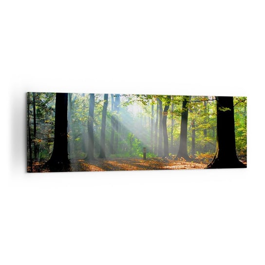 Obraz na płótnie - Blaski i cienie - 160x50cm - Las Drzewa Natura - Nowoczesny foto obraz w ramie do salonu do sypialni ARTTOR ARTTOR