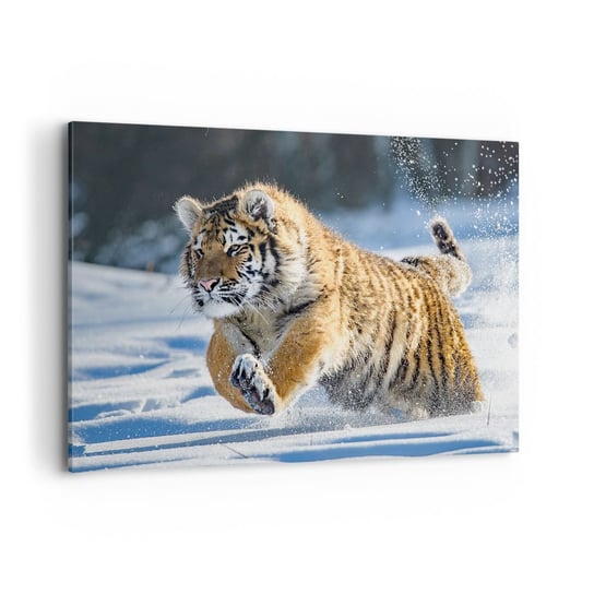 Obraz na płótnie - Bóg syberyjskiej tajgi - 100x70cm - Tygrys Zwierzęta Natura - Nowoczesny foto obraz w ramie do salonu do sypialni ARTTOR ARTTOR