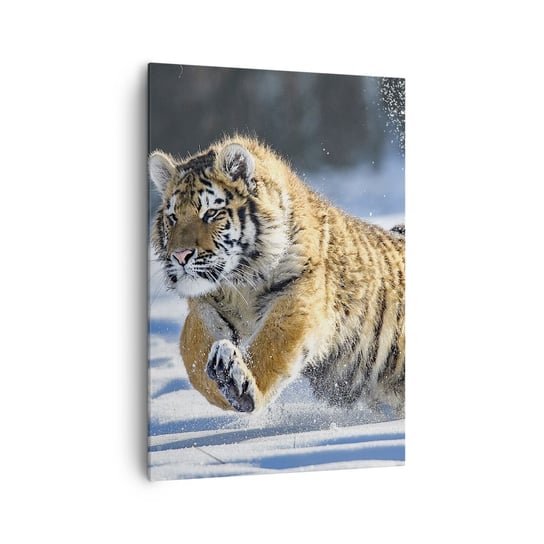 Obraz na płótnie - Bóg syberyjskiej tajgi - 70x100cm - Tygrys Zwierzęta Natura - Nowoczesny foto obraz w ramie do salonu do sypialni ARTTOR ARTTOR