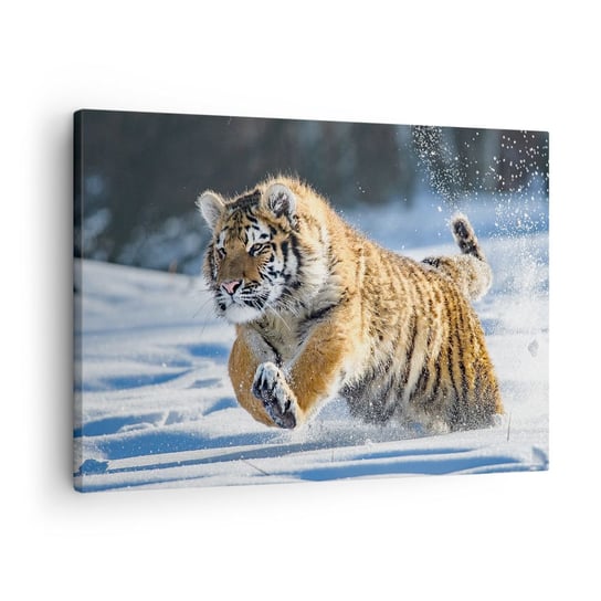 Obraz na płótnie - Bóg syberyjskiej tajgi - 70x50cm - Tygrys Zwierzęta Natura - Nowoczesny Canvas obraz do salonu do sypialni ARTTOR ARTTOR