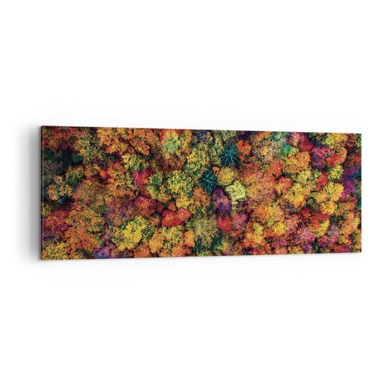 Obraz na płótnie - Bukiet jesiennych drzew - 140x50cm - Krajobraz Las Drzewa - Nowoczesny Canvas obraz do salonu do sypialni ARTTOR ARTTOR