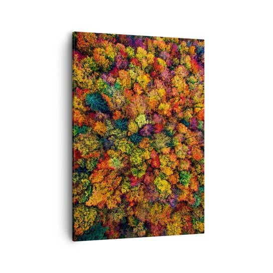 Obraz na płótnie - Bukiet jesiennych drzew - 50x70cm - Krajobraz Las Drzewa - Nowoczesny Canvas obraz do salonu do sypialni ARTTOR ARTTOR
