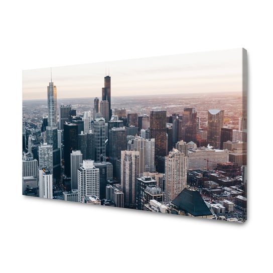 Obraz Na Płótnie Canvas Architektura Chicago 100X60 Cm GP TONER