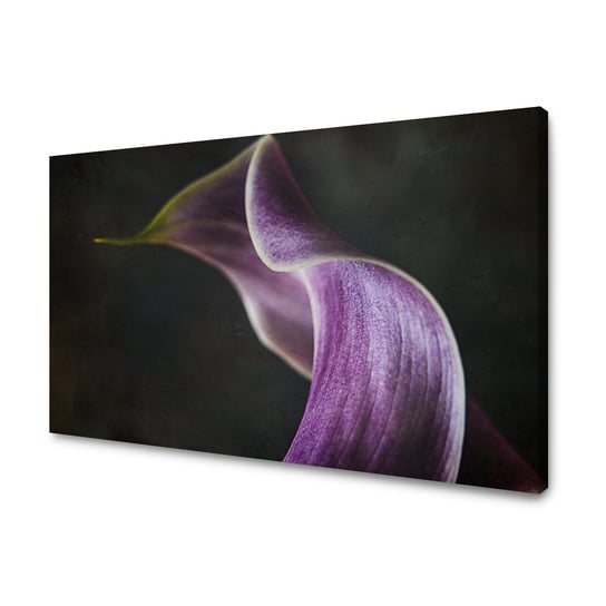 Obraz Na Płótnie Canvas Botanika Kwiat Fioletowy Płatek 120X70 Cm GP TONER