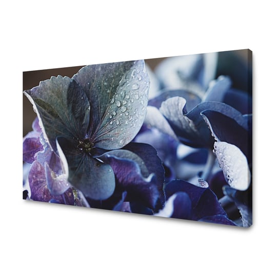 Obraz Na Płótnie Canvas Botanika Niebieska Hortensja 40X30 Cm GP TONER