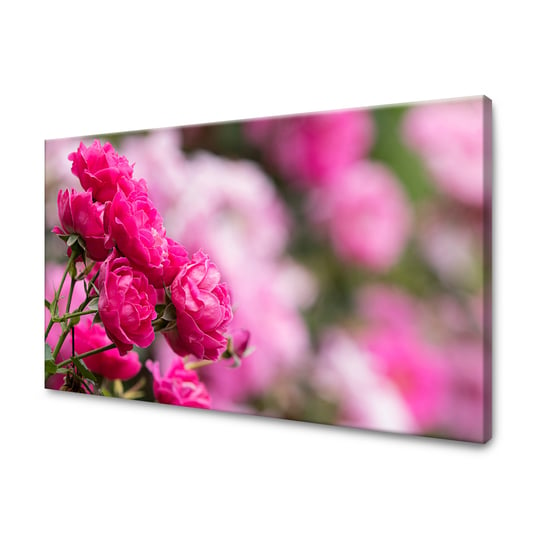 Obraz Na Płótnie Canvas Botanika Różowe Róże 120X70 Cm GP TONER