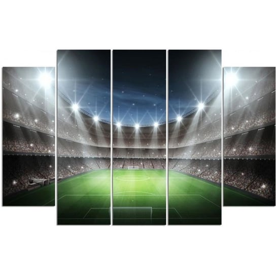 Obraz na płótnie Canvas CARO, Stadion piłkarski w blasku świateł, 250x120 cm Feeby