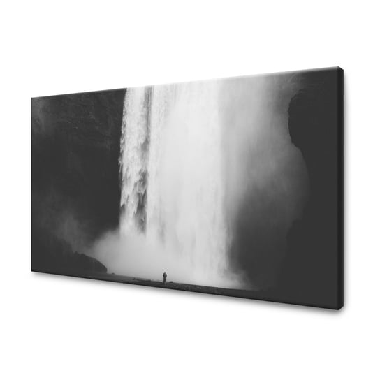 Obraz Na Płótnie Canvas Czarno-Białe Wodospad 100X80 Cm GP TONER