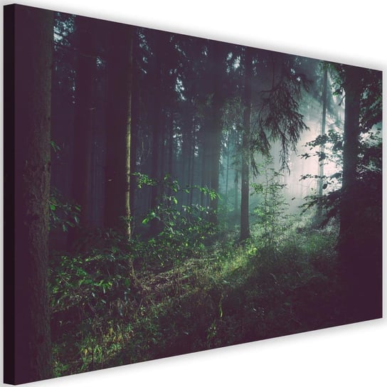 Obraz na płótnie Canvas FEEBY, Ciemny las, 60x40 cm Feeby