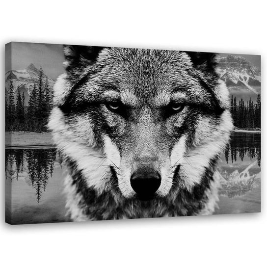 Obraz na płótnie Canvas FEEBY, Czarno-biały wilk, 70x50 cm Feeby