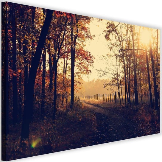 Obraz na płótnie Canvas FEEBY, Droga polna przy lesie, 60x40 cm Feeby