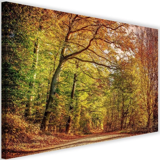 Obraz na płótnie Canvas FEEBY, Droga w lesie jesienią, 60x40 cm Feeby