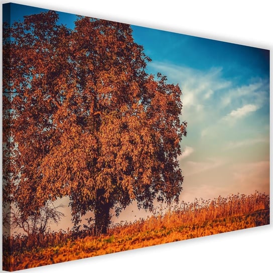 Obraz na płótnie Canvas FEEBY, Drzewo jesienią, 120x80 cm Feeby