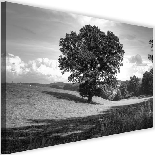 Obraz na płótnie Canvas FEEBY, Drzewo na polanie, 90x60 cm Feeby