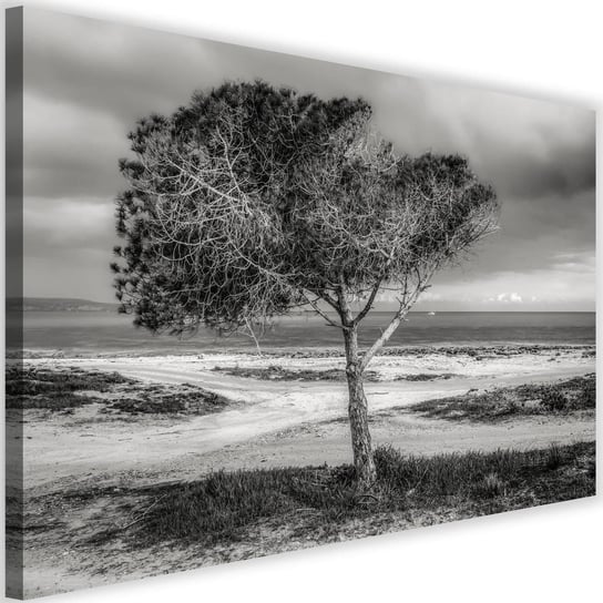 Obraz na płótnie Canvas FEEBY, Drzewo nad morzem, 90x60 cm Feeby