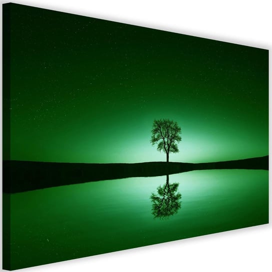 Obraz na płótnie Canvas FEEBY, Drzewo pod gwieździstym niebem, 60x40 cm Feeby