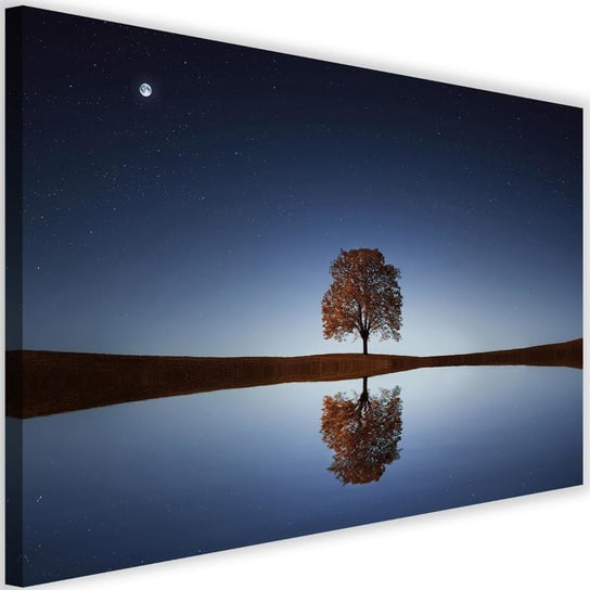 Obraz na płótnie Canvas FEEBY, Drzewo pod nocnym niebem, 120x80 cm Feeby