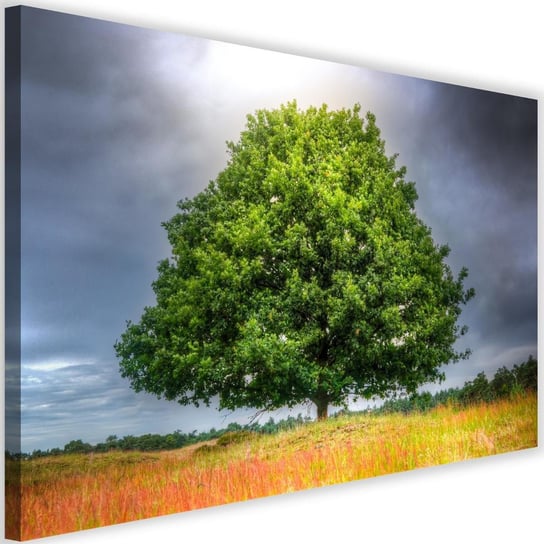 Obraz na płótnie Canvas FEEBY, Drzewo przed burzą, 90x60 cm Feeby