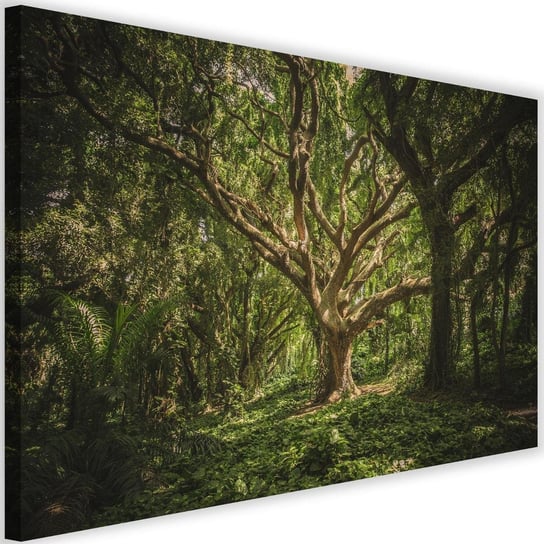 Obraz na płótnie Canvas FEEBY, Duże drzewo w środku lasu, 60x40 cm Feeby