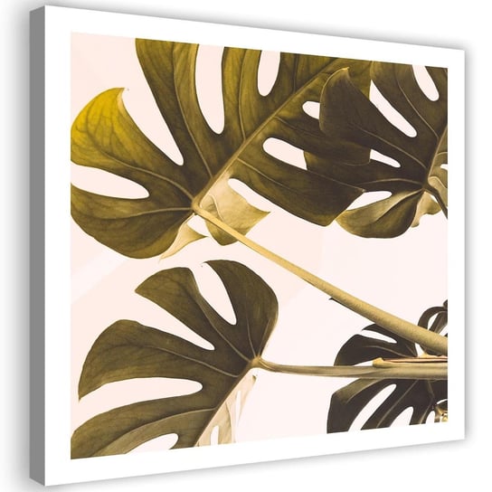 Obraz na płótnie Canvas FEEBY, Egzotyczne liście monstera 2, 50x50 cm Feeby
