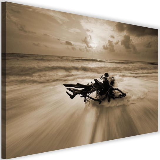 Obraz na płótnie Canvas FEEBY, Gałąź na brzegu morza, 120x80 cm Feeby