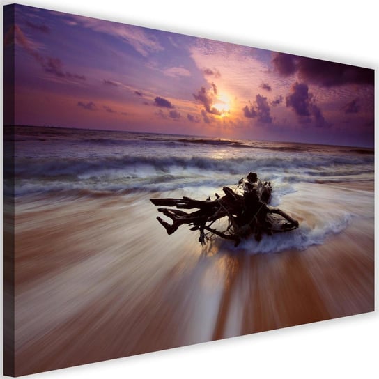 Obraz na płótnie Canvas FEEBY, Gałąź na brzegu morza, 60x40 cm Feeby