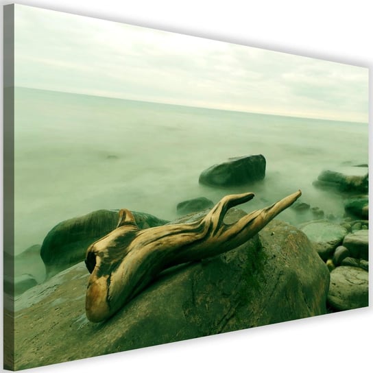 Obraz na płótnie Canvas FEEBY, Gałąź na kamieniu, 120x80 cm Feeby