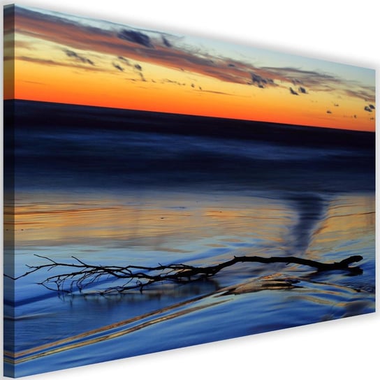 Obraz na płótnie Canvas FEEBY, Gałąź na wodzie, 120x80 cm Feeby