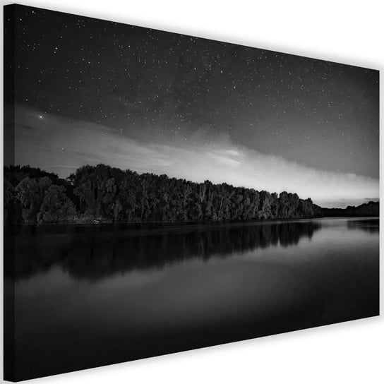 Obraz na płótnie Canvas FEEBY, Gwiazdy nad jeziorem, 60x40 cm Feeby