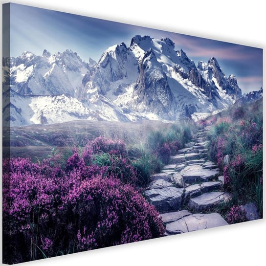 Obraz na płótnie Canvas FEEBY, Kamienna droga na szczyt, 120x80 cm Feeby
